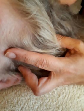 Acces Bars en Acces Facelift Sessie